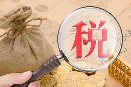 柳州一般納稅人企業代理報稅服務與稅務代理綜合指南